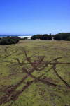 Damage to marsupial lawn from illegal offroad
vehicles near Discovery Bay
